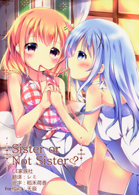 Sister or Not Sister?? hentai