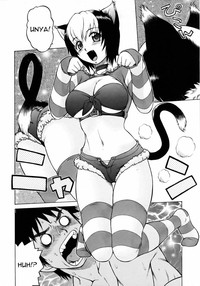 Miracle Cat Punch hentai