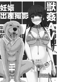 Shiawase no Katachi no Guruguru Netachou 87 Juukan AV Ninshin Shuusan Satsuei hentai